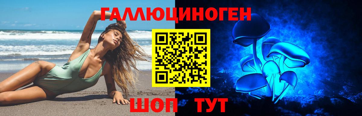 Новодвинск  Галлюциногенные грибы Psilocybine cubensis  Вход с VPN 