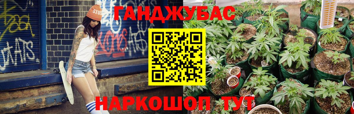 Шишки марихуана марихуана Новодвинск